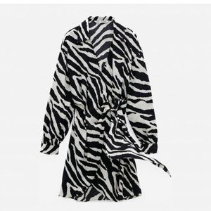 Zara dress
